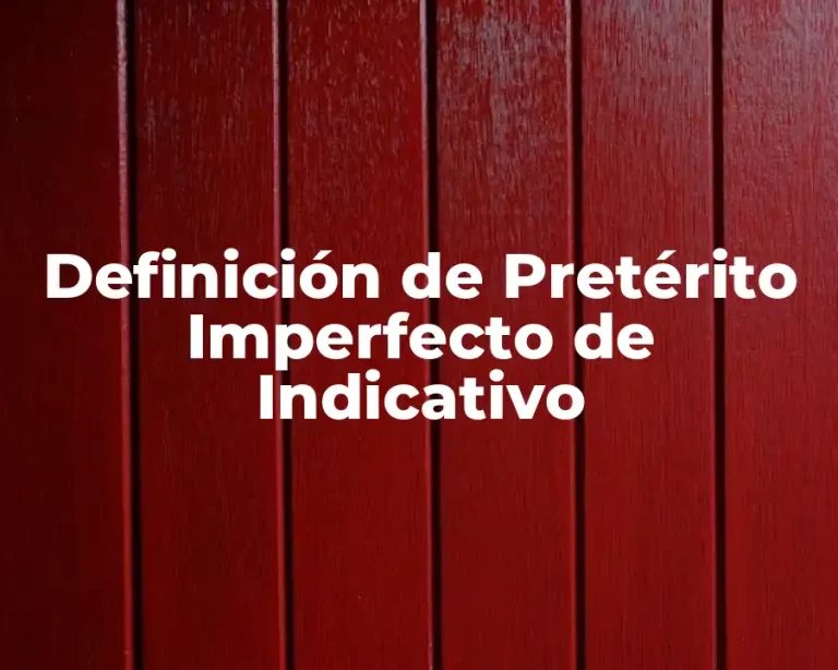 Definición de Pretérito Imperfecto de Indicativo