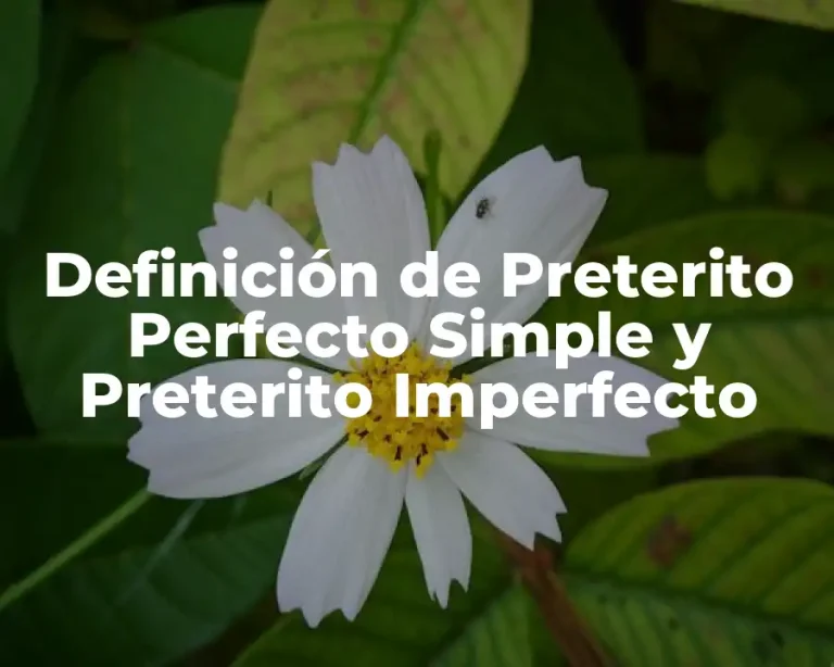 Definición de Preterito Perfecto Simple y Preterito Imperfecto