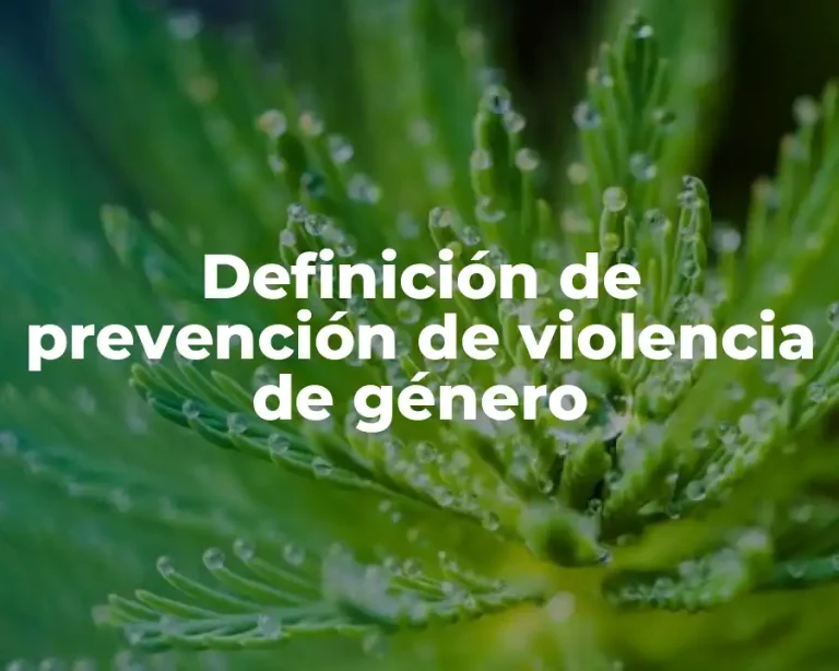 Definición de prevención de violencia de género
