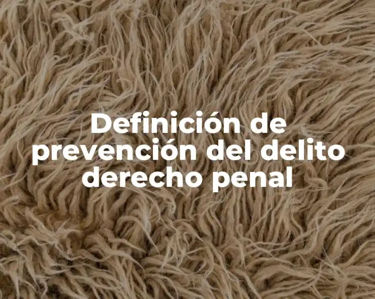 Definición de prevención del delito derecho penal
