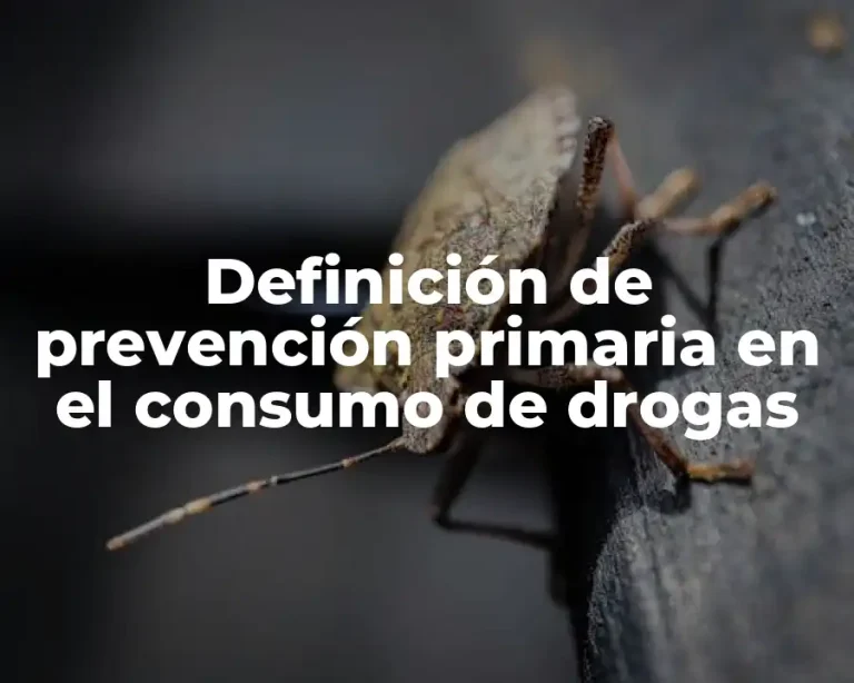 Definición de prevención primaria en el consumo de drogas