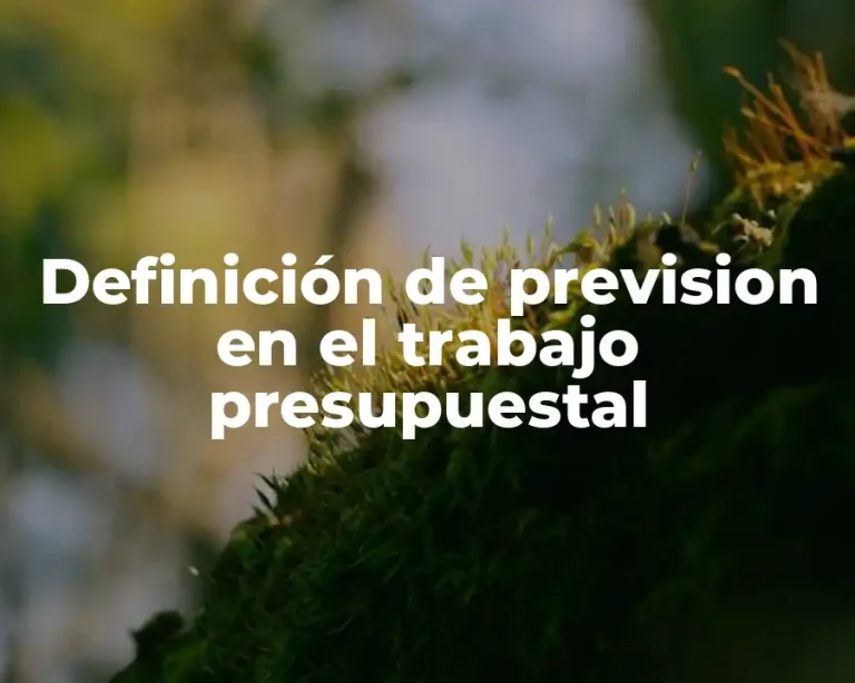 Definición de prevision en el trabajo presupuestal