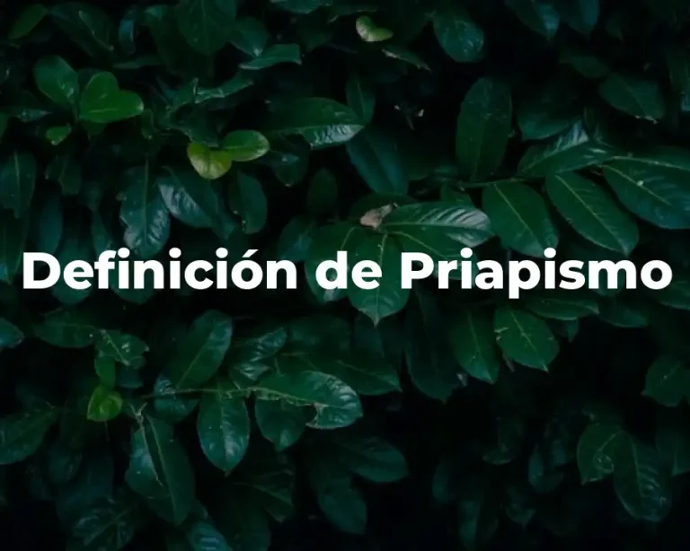 Definición de Priapismo