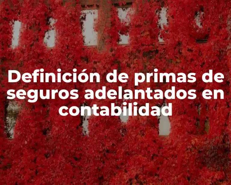 Definición de primas de seguros adelantados en contabilidad