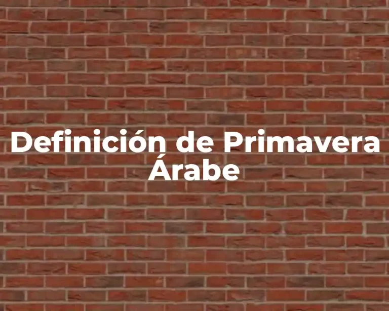 Definición de Primavera Árabe