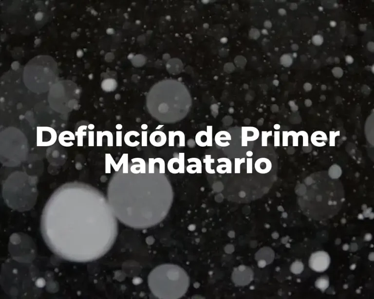 Definición de Primer Mandatario