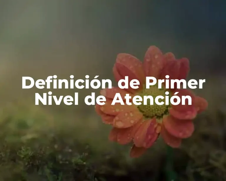 Definición de Primer Nivel de Atención