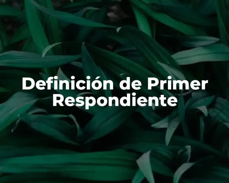 Definición de Primer Respondiente