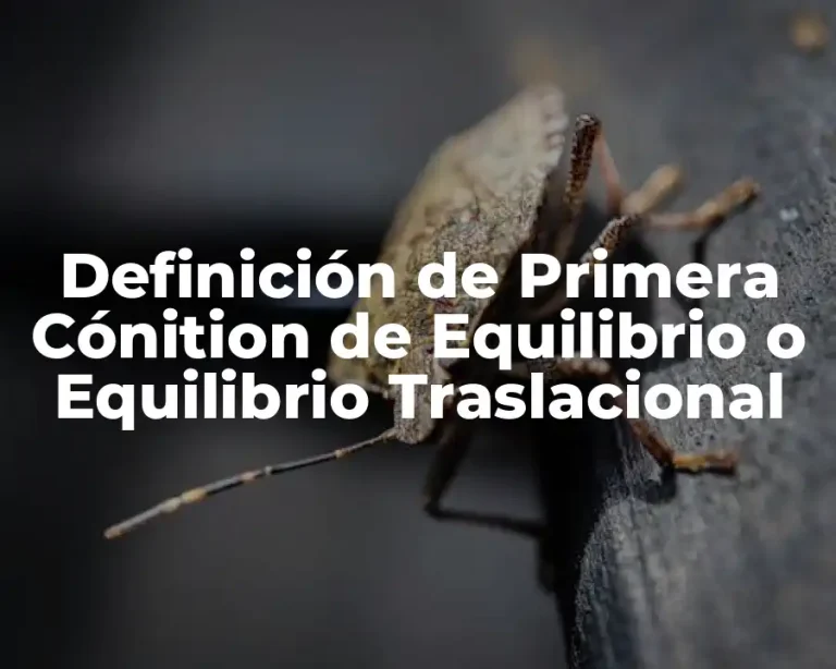 Definición de Primera Cónition de Equilibrio o Equilibrio Traslacional