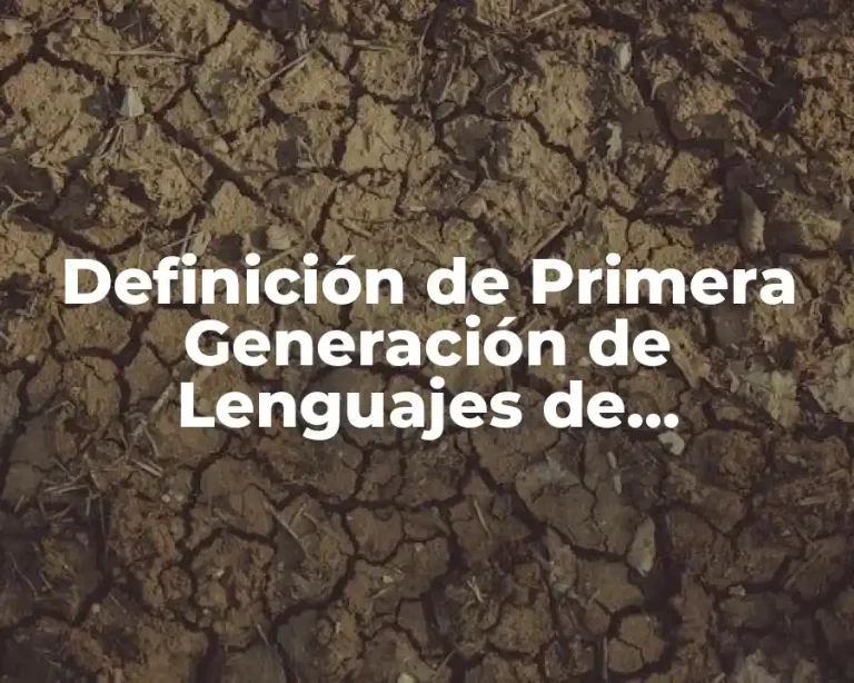 Definición de Primera Generación de Lenguajes de Programación