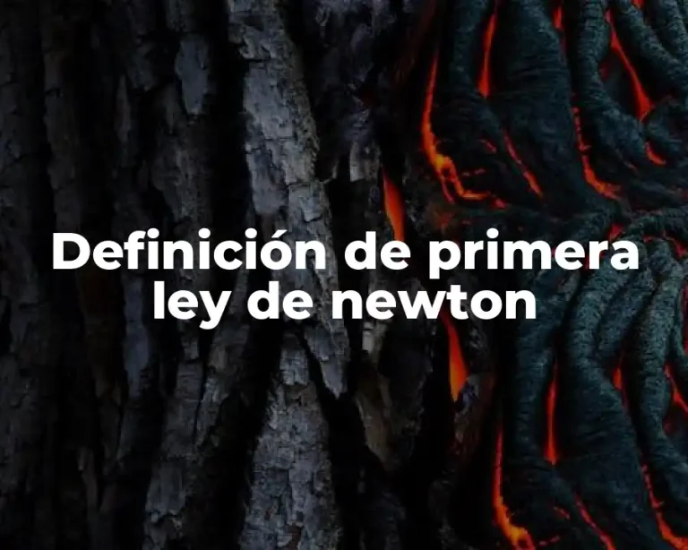 Definición de primera ley de newton