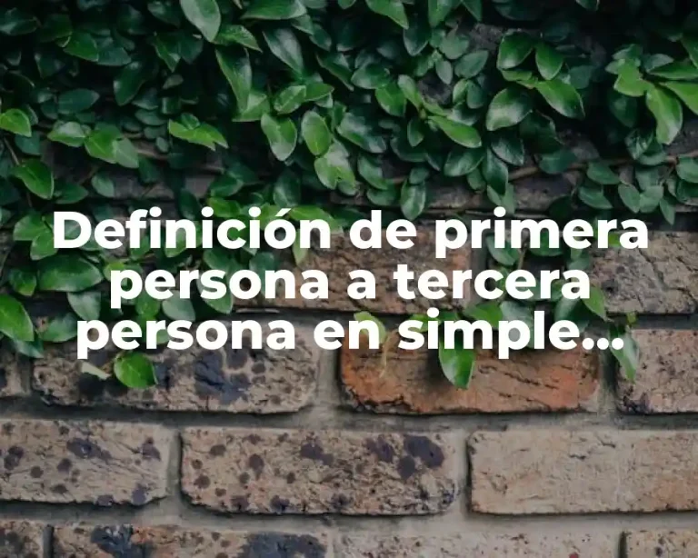 Definición de primera persona a tercera persona en simple present