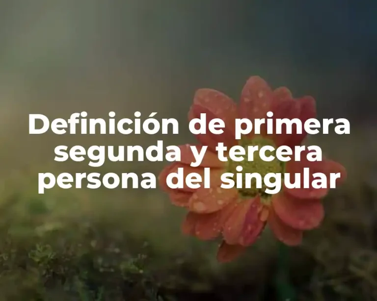 Definición de primera segunda y tercera persona del singular