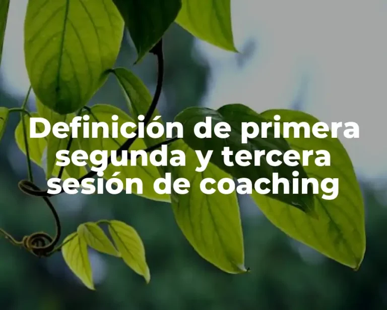 Definición de primera segunda y tercera sesión de coaching