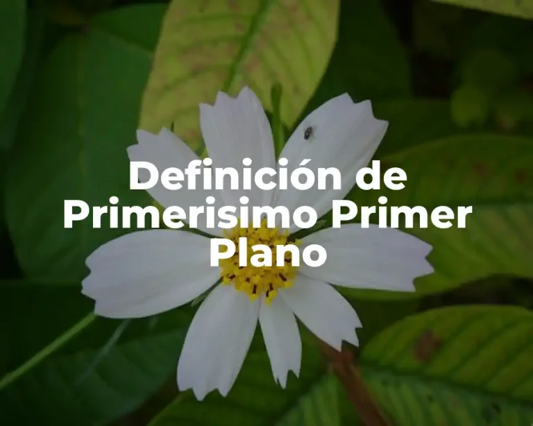 Definición de Primerisimo Primer Plano