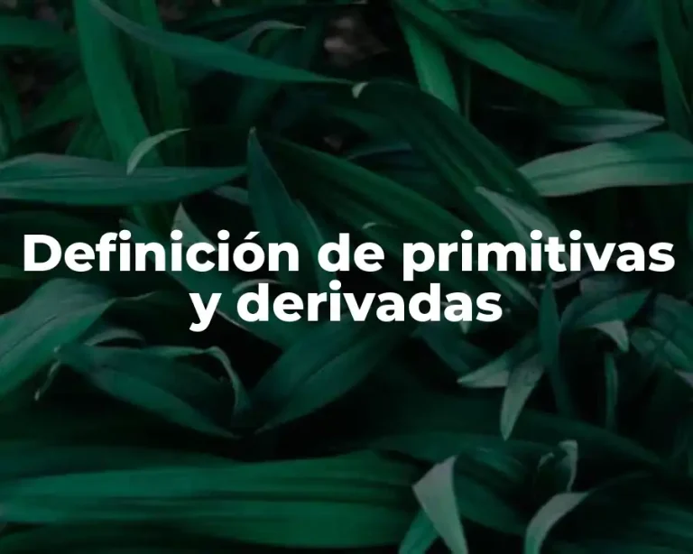 Definición de primitivas y derivadas