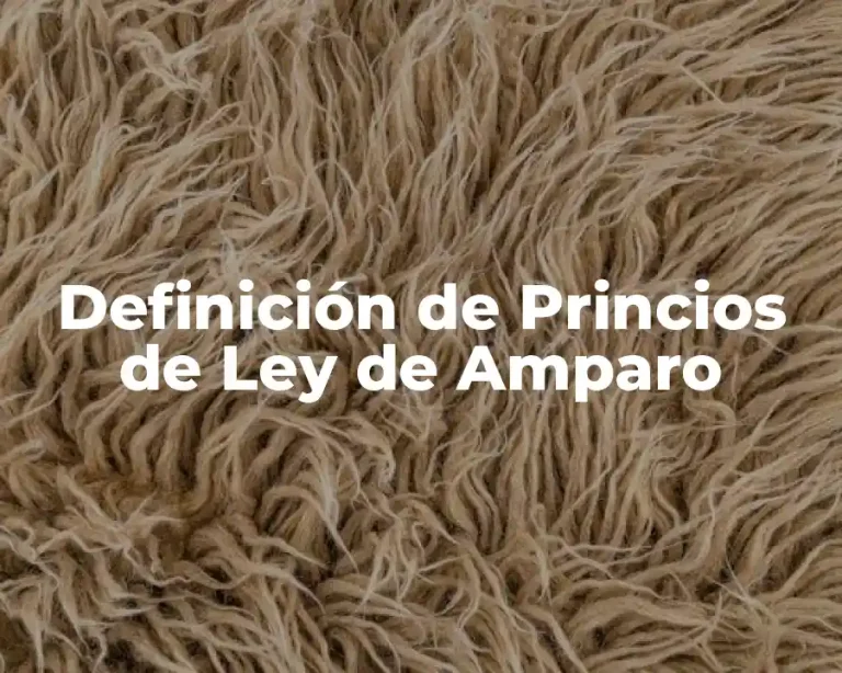Definición de Princios de Ley de Amparo