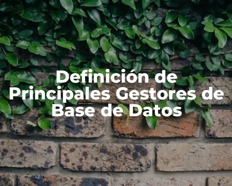 Definición de Principales Gestores de Base de Datos