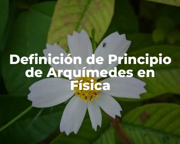 Definición de Principio de Arquímedes en Física