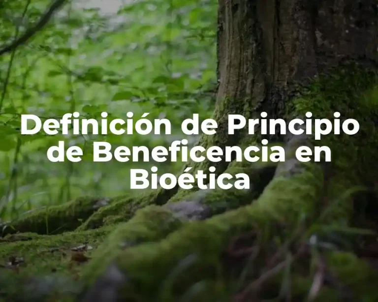 Definición de Principio de Beneficencia en Bioética