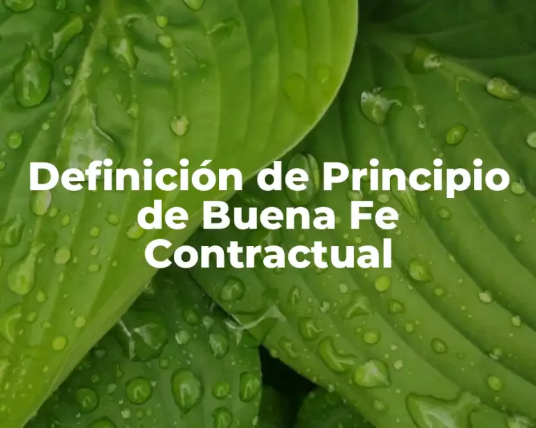 Definición de Principio de Buena Fe Contractual