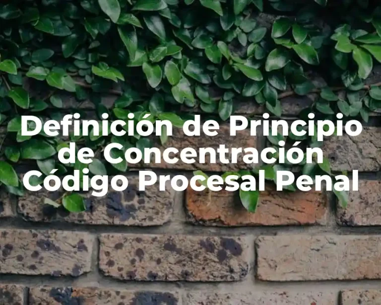 Definición de Principio de Concentración Código Procesal Penal