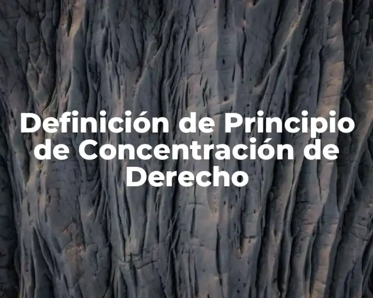 Definición de Principio de Concentración de Derecho