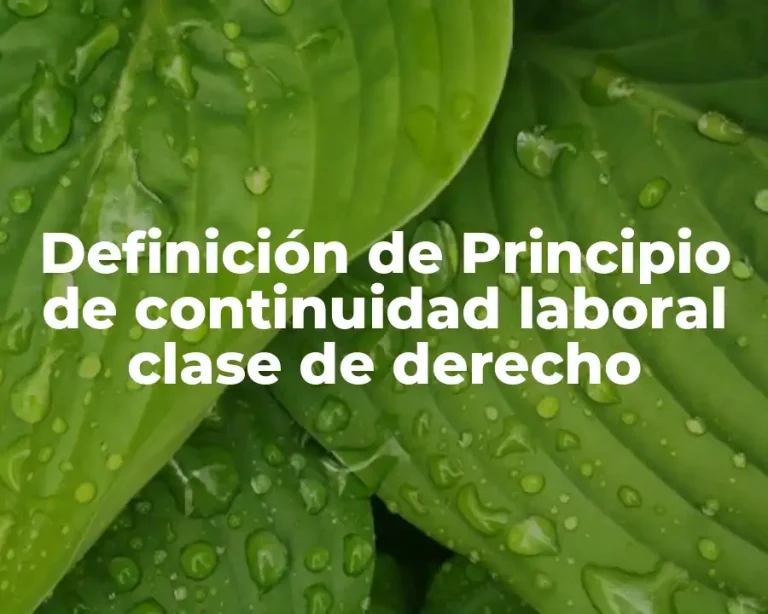 Definición de Principio de continuidad laboral clase de derecho