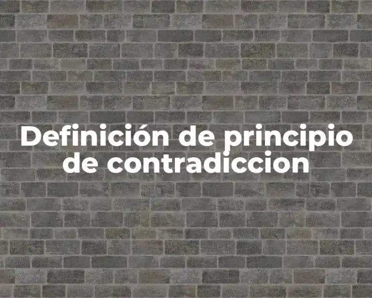 Definición de principio de contradiccion