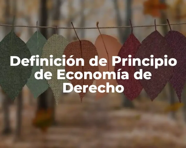Definición de Principio de Economía de Derecho