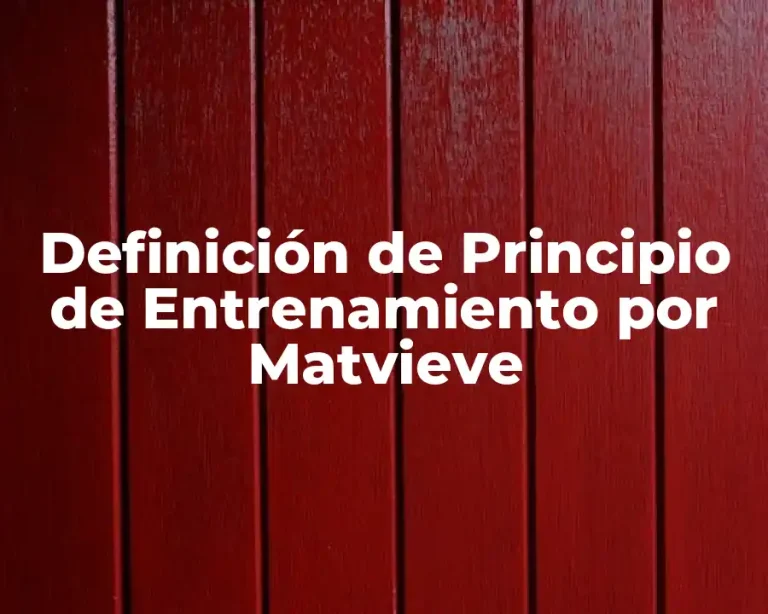 Definición de Principio de Entrenamiento por Matvieve
