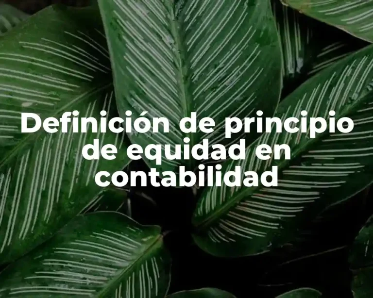 Definición de principio de equidad en contabilidad