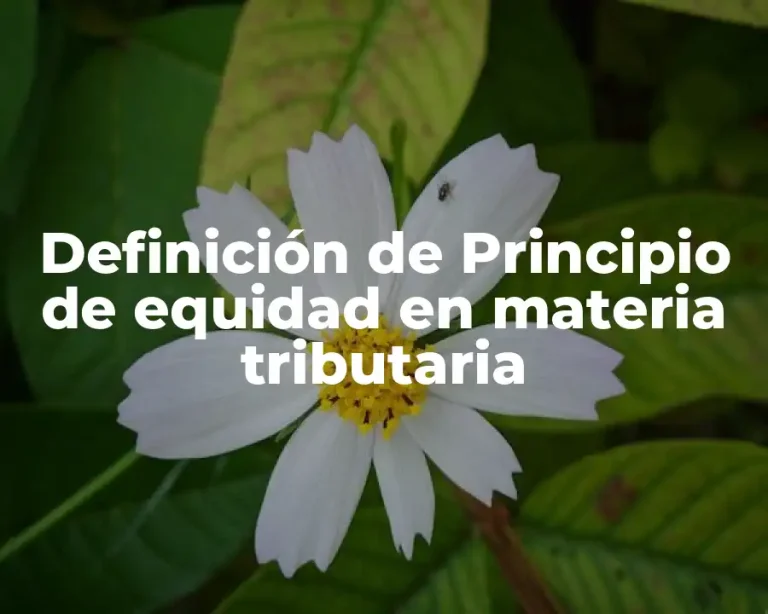 Definición de Principio de equidad en materia tributaria