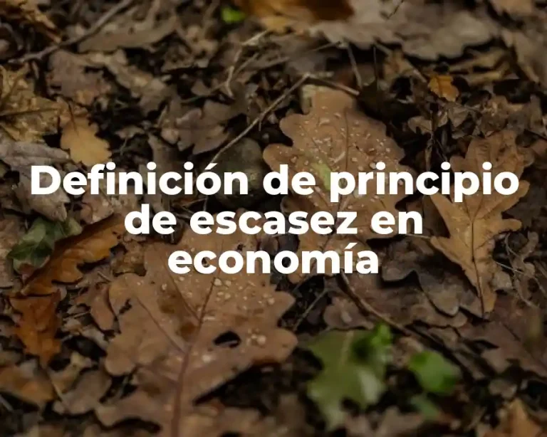 Definición de principio de escasez en economía