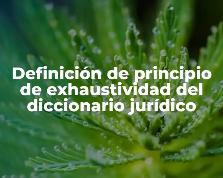 Definición de principio de exhaustividad del diccionario jurídico