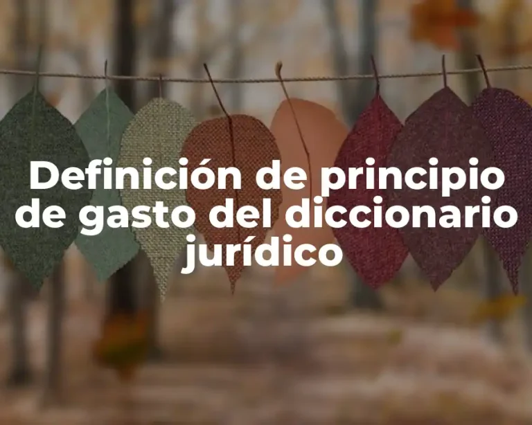 Definición de principio de gasto del diccionario jurídico