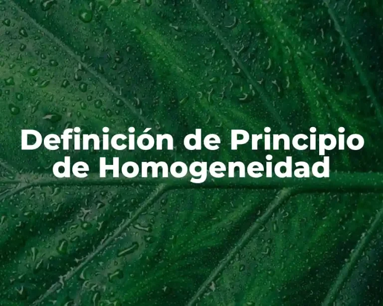 Definición de Principio de Homogeneidad