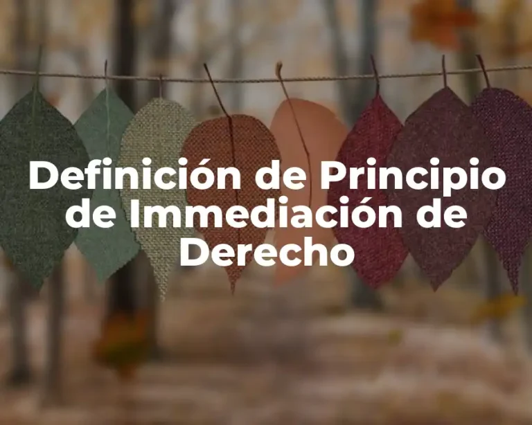 Definición de Principio de Immediación de Derecho