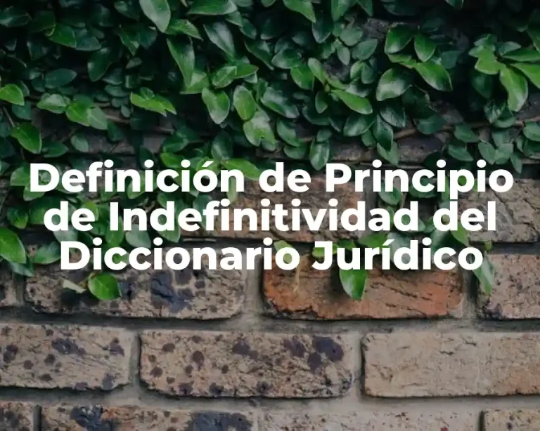 Definición de Principio de Indefinitividad del Diccionario Jurídico