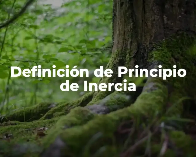 Definición de Principio de Inercia