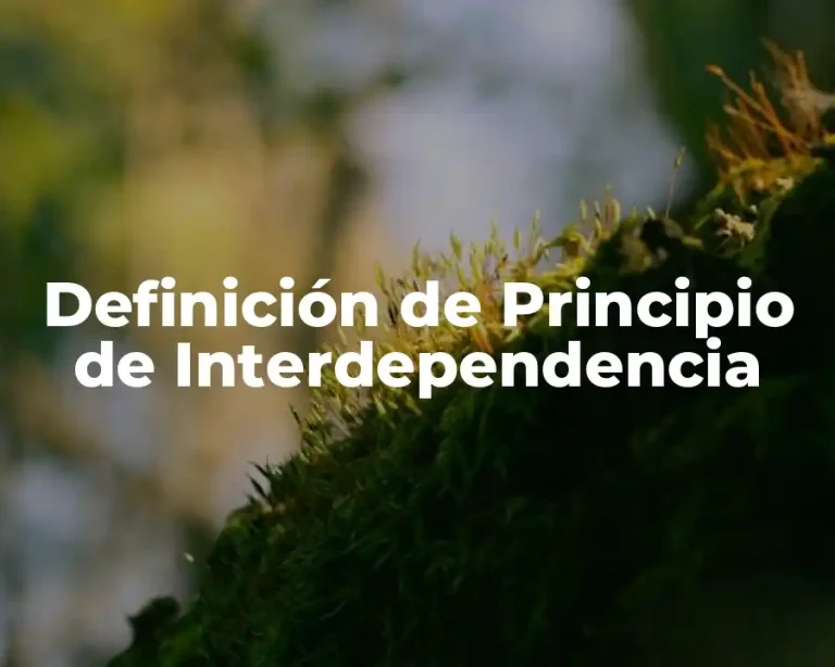 Definición de Principio de Interdependencia