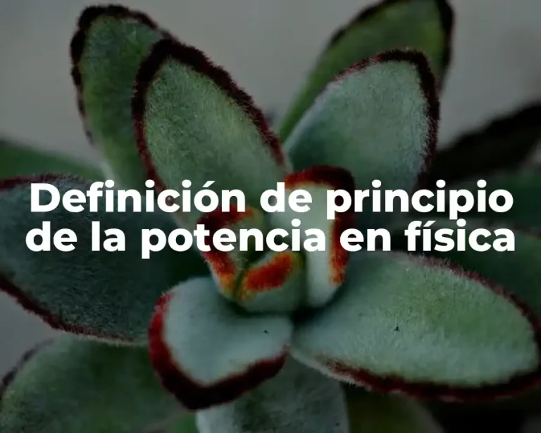 Definición de principio de la potencia en física
