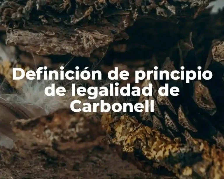 Definición de principio de legalidad de Carbonell