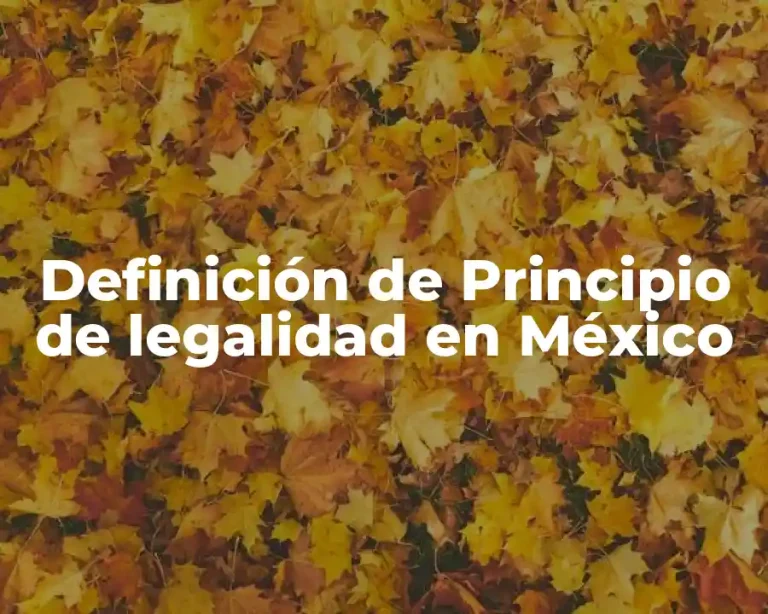 Definición de Principio de legalidad en México