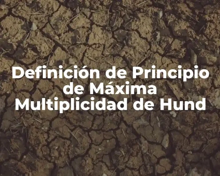 Definición de Principio de Máxima Multiplicidad de Hund