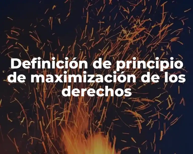 Definición de principio de maximización de los derechos