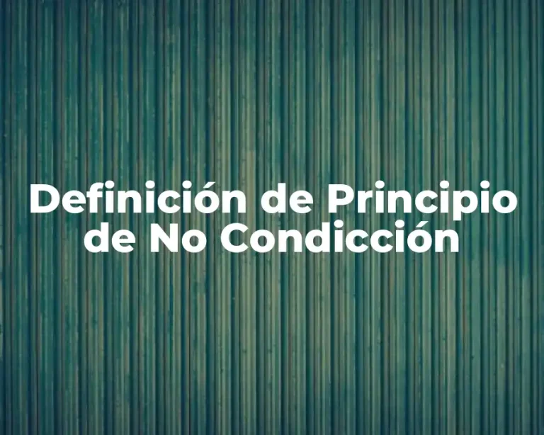 Definición de Principio de No Condicción