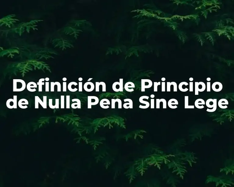 Definición de Principio de Nulla Pena Sine Lege