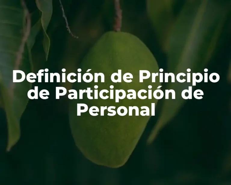 Definición de Principio de Participación de Personal
