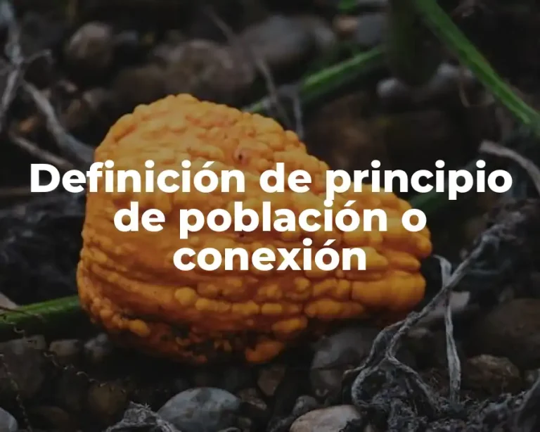Definición de principio de población o conexión